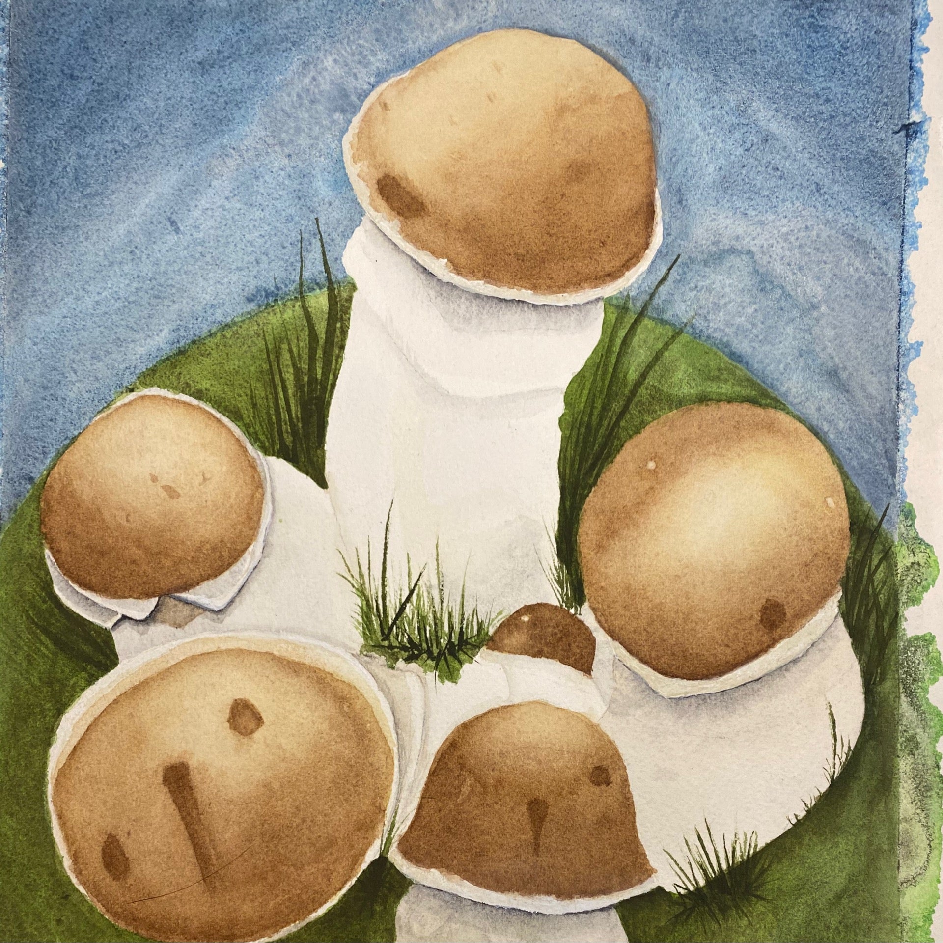 Penis Envy Print | Art by Blossoms