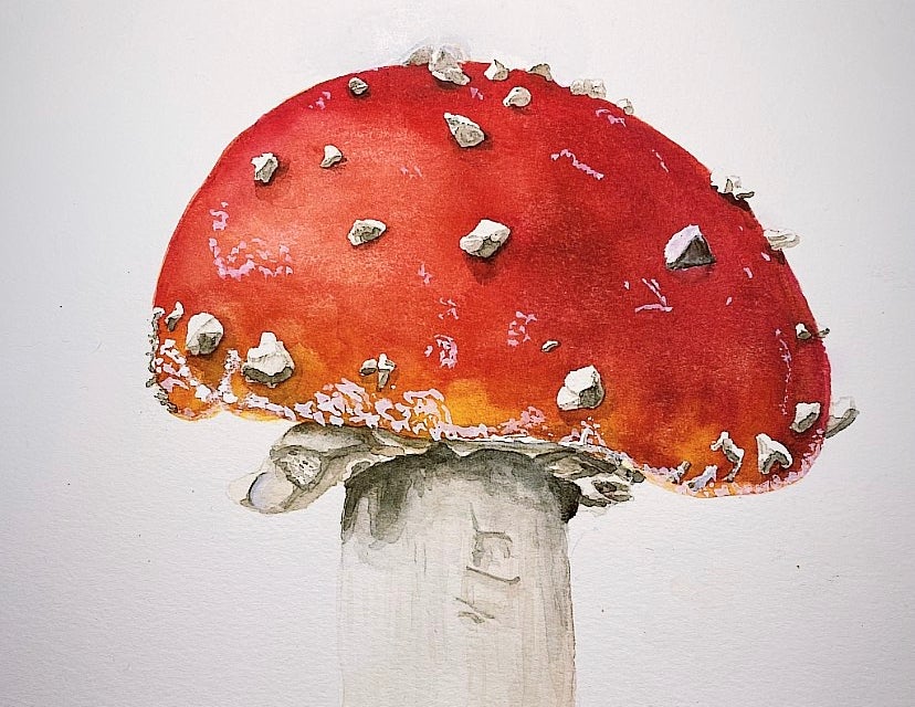 Penis Envy Print | Art by Blossoms